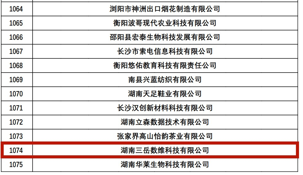 湖南三岳數(shù)維科技有限公司成功入選為湖南省高新技術(shù)企業(yè)